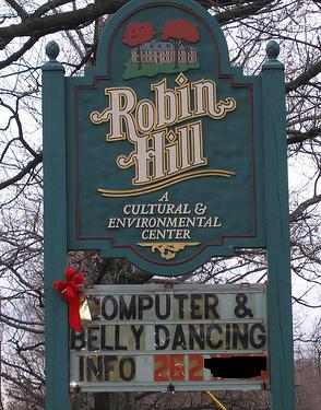 Computers + Belly Dancing